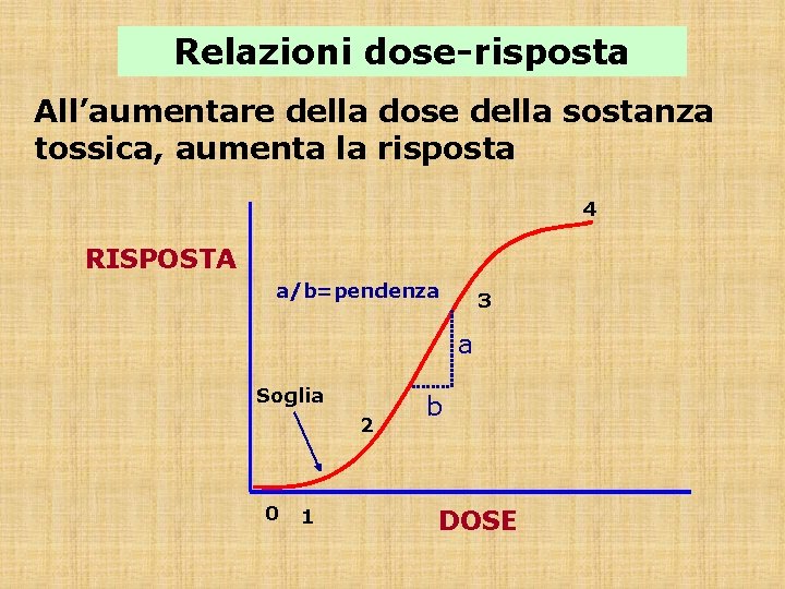 Relazioni dose-risposta All’aumentare della dose della sostanza tossica, aumenta la risposta 4 RISPOSTA a/b=pendenza