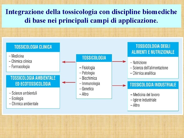Integrazione della tossicologia con discipline biomediche di base nei principali campi di applicazione. 