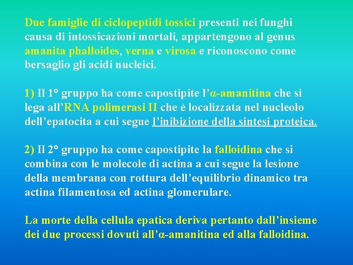 Due famiglie di ciclopeptidi tossici presenti nei funghi causa di intossicazioni mortali, appartengono al