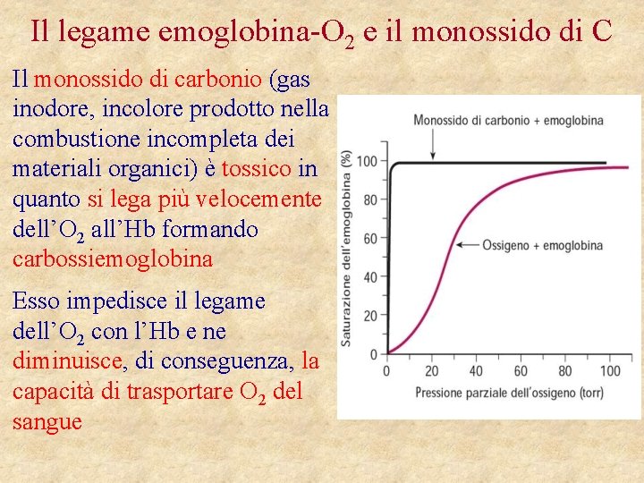 Il legame emoglobina-O 2 e il monossido di C Il monossido di carbonio (gas