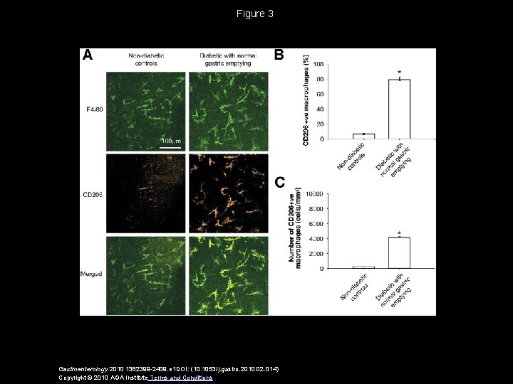 Figure 3 Gastroenterology 2010 1382399 -2409. e 1 DOI: (10. 1053/j. gastro. 2010. 02. Figure 3 Gastroenterology 2010 1382399 -2409. e 1 DOI: (10. 1053/j. gastro. 2010. 02.
