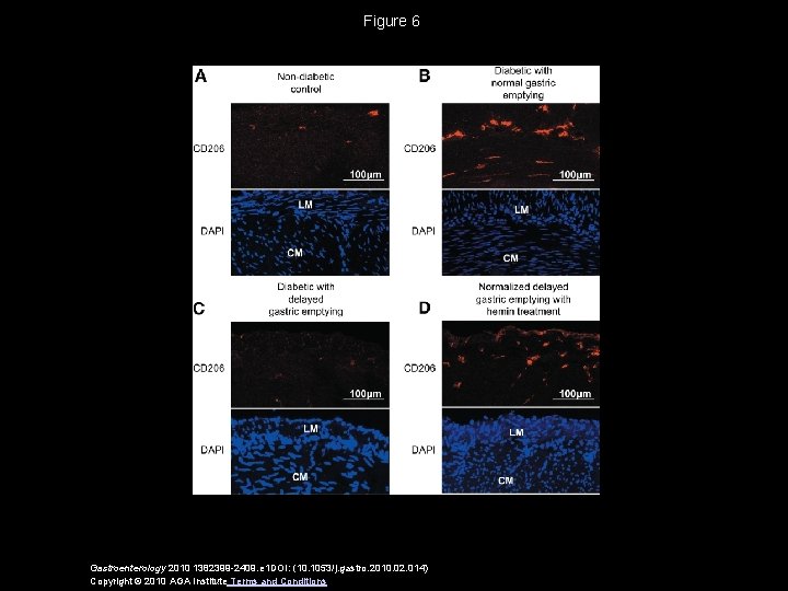 Figure 6 Gastroenterology 2010 1382399 -2409. e 1 DOI: (10. 1053/j. gastro. 2010. 02. Figure 6 Gastroenterology 2010 1382399 -2409. e 1 DOI: (10. 1053/j. gastro. 2010. 02.