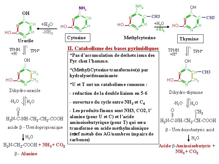 METABOLISME DES BASES PURIQUES ET PYRIMIDIQUES HypoHyper uricmies