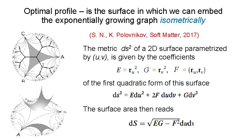 Optimal profile – is the surface in which we can embed the exponentially growing