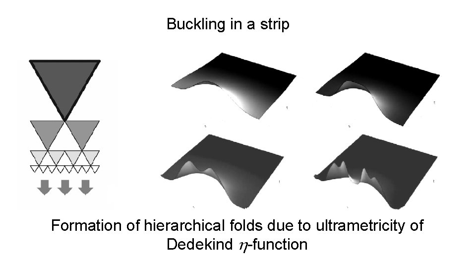 Buckling in a strip Formation of hierarchical folds due to ultrametricity of Dedekind h-function