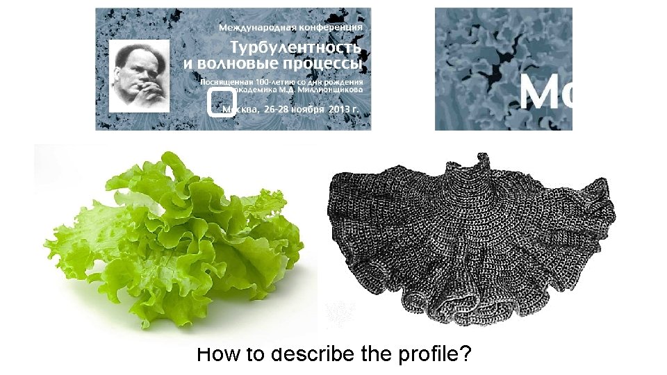 How to describe the profile? 