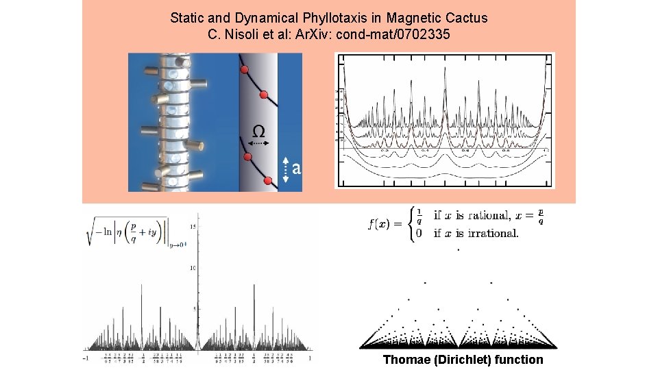 Static and Dynamical Phyllotaxis in Magnetic Cactus C. Nisoli et al: Ar. Xiv: cond-mat/0702335