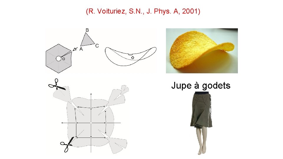 (R. Voituriez, S. N. , J. Phys. A, 2001) Jupe à godets 