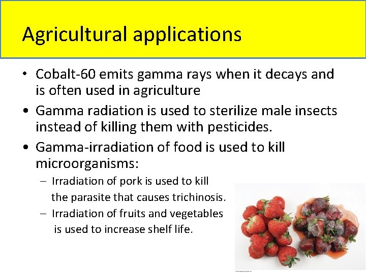 Agricultural applications • Cobalt-60 emits gamma rays when it decays and is often used