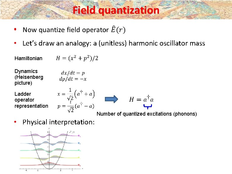 Field quantization • • Let’s draw an analogy: a (unitless) harmonic oscillator mass Hamiltonian Field quantization • • Let’s draw an analogy: a (unitless) harmonic oscillator mass Hamiltonian