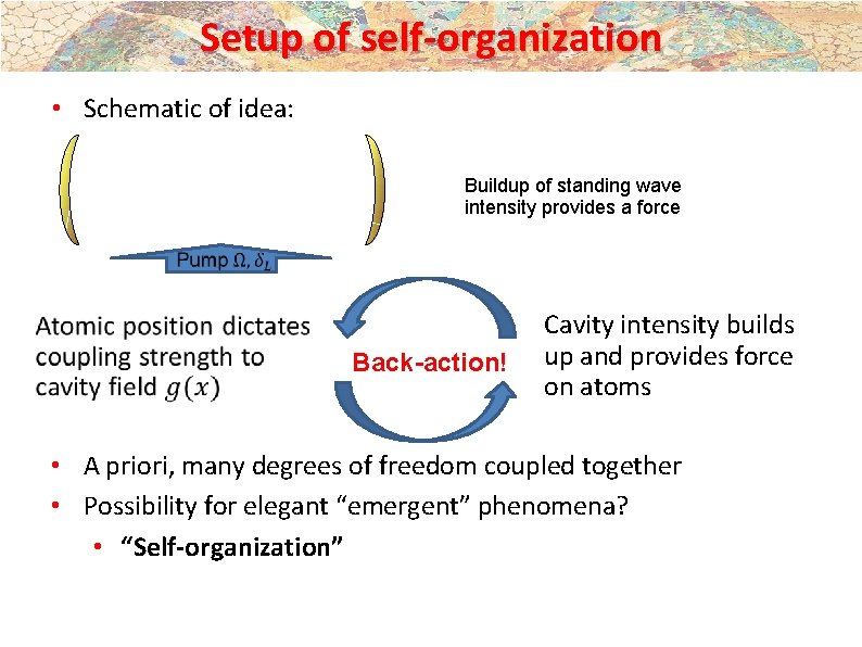 Setup of self-organization • Schematic of idea: Buildup of standing wave intensity provides a Setup of self-organization • Schematic of idea: Buildup of standing wave intensity provides a