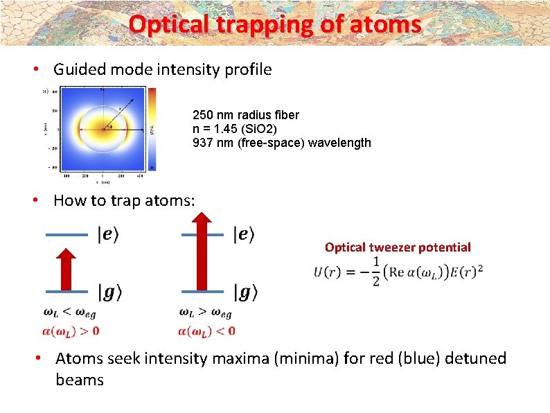 Optical trapping of atoms • Guided mode intensity profile 250 nm radius fiber n Optical trapping of atoms • Guided mode intensity profile 250 nm radius fiber n