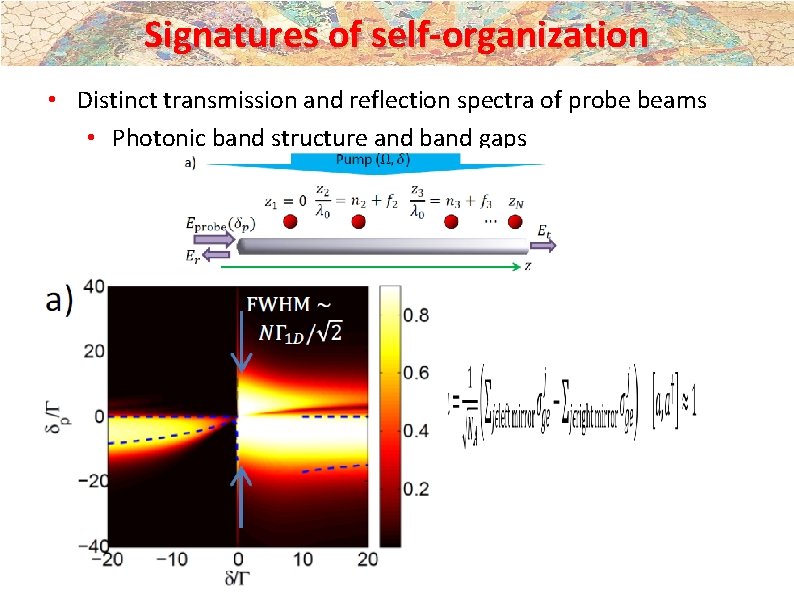 Signatures of self-organization • Distinct transmission and reflection spectra of probe beams • Photonic Signatures of self-organization • Distinct transmission and reflection spectra of probe beams • Photonic