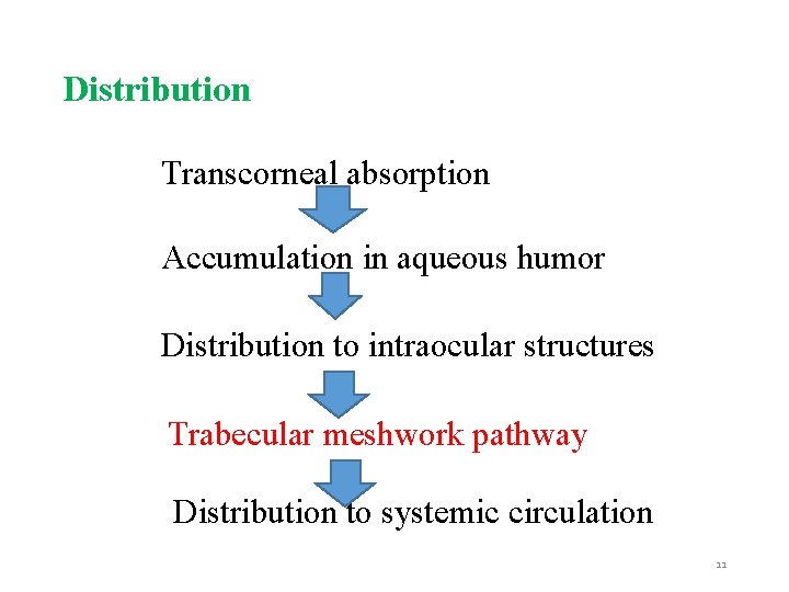 Distribution Transcorneal absorption Accumulation in aqueous humor Distribution to intraocular structures Trabecular meshwork pathway