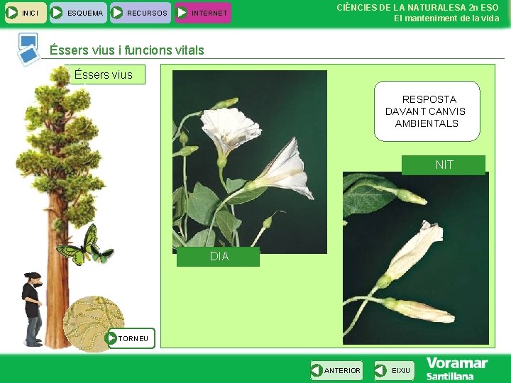 INICI ESQUEMA RECURSOS INTERNET CIÈNCIES DE LA NATURALESA 2 n ESO El manteniment de