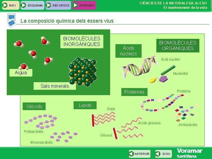 INICI ESQUEMA RECURSOS CIÈNCIES DE LA NATURALESA 2 n ESO El manteniment de la