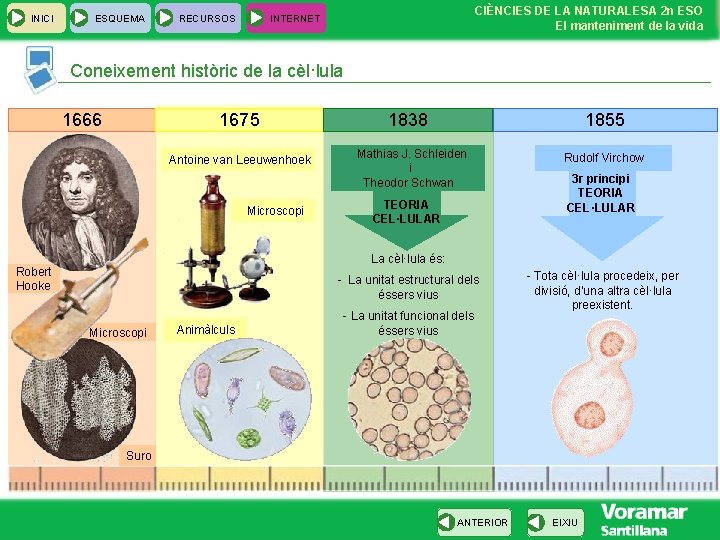 INICI ESQUEMA RECURSOS CIÈNCIES DE LA NATURALESA 2 n ESO El manteniment de la