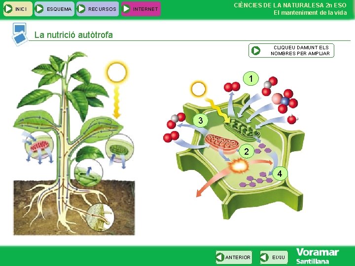 INICI ESQUEMA RECURSOS CIÈNCIES DE LA NATURALESA 2 n ESO El manteniment de la