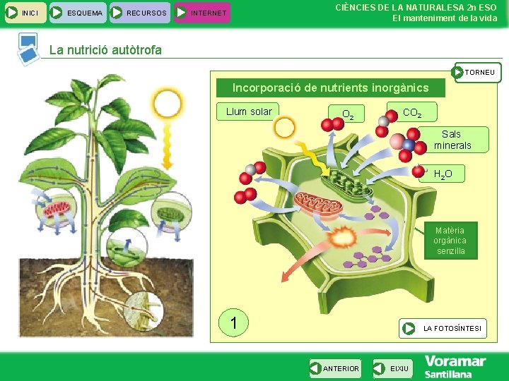 INICI ESQUEMA RECURSOS CIÈNCIES DE LA NATURALESA 2 n ESO El manteniment de la