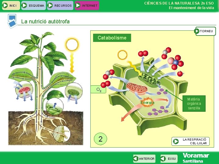 INICI ESQUEMA RECURSOS CIÈNCIES DE LA NATURALESA 2 n ESO El manteniment de la