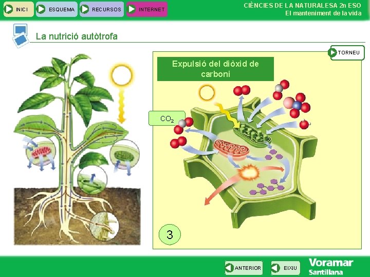 INICI ESQUEMA RECURSOS CIÈNCIES DE LA NATURALESA 2 n ESO El manteniment de la