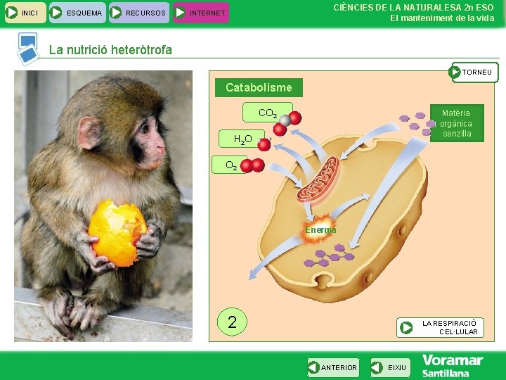 INICI ESQUEMA RECURSOS CIÈNCIES DE LA NATURALESA 2 n ESO El manteniment de la