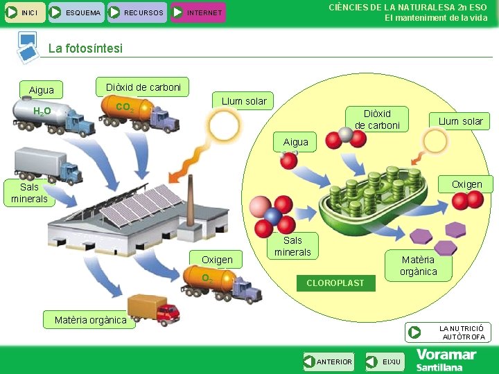 INICI ESQUEMA RECURSOS CIÈNCIES DE LA NATURALESA 2 n ESO El manteniment de la