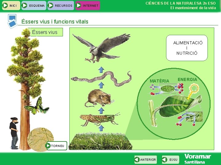 INICI ESQUEMA RECURSOS INTERNET CIÈNCIES DE LA NATURALESA 2 n ESO El manteniment de