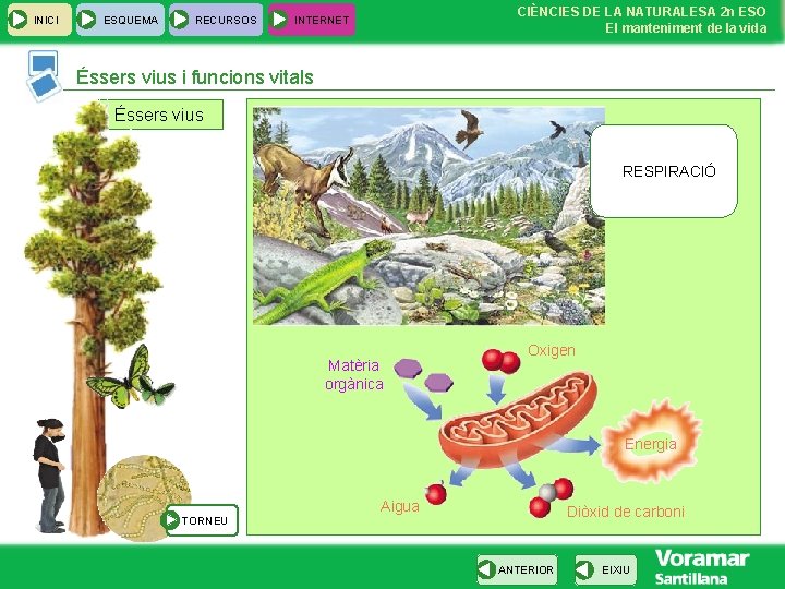 INICI ESQUEMA RECURSOS CIÈNCIES DE LA NATURALESA 2 n ESO El manteniment de la