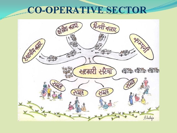 CO-OPERATIVE SECTOR 
