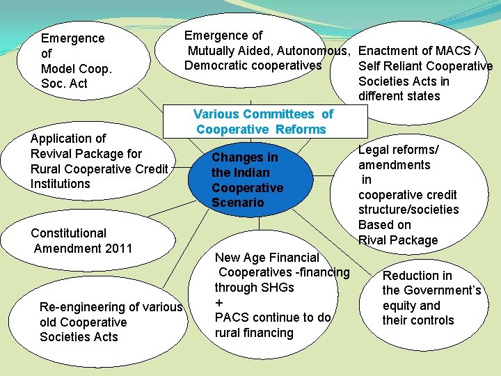 Emergence of Model Coop. Soc. Act Application of Revival Package for Rural Cooperative Credit