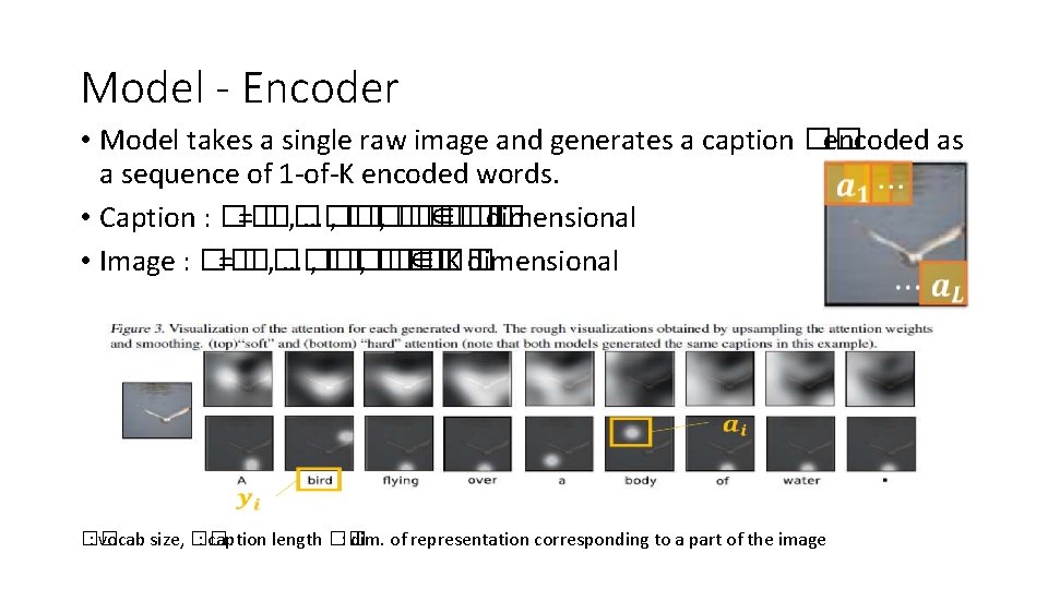 Model - Encoder • Model takes a single raw image and generates a caption