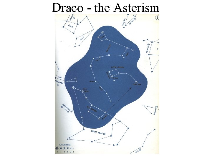 Draco - the Asterism 