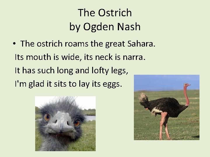The Ostrich by Ogden Nash • The ostrich roams the great Sahara. Its mouth