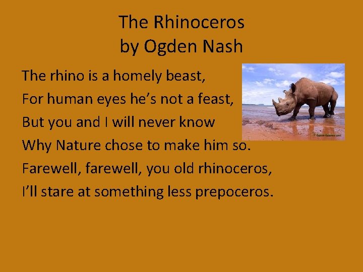 The Rhinoceros by Ogden Nash The rhino is a homely beast, For human eyes