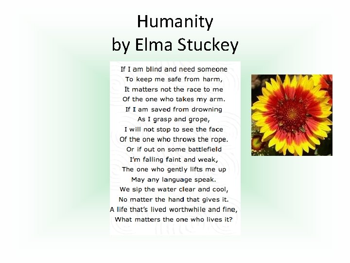 Humanity by Elma Stuckey 