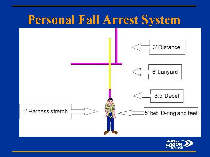 Personal Fall Arrest System 