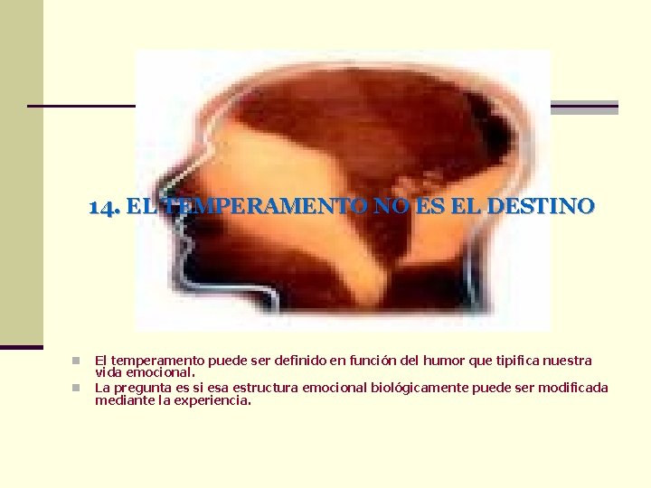 14. EL TEMPERAMENTO NO ES EL DESTINO n n El temperamento puede ser definido