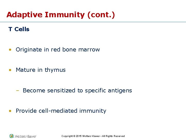 Adaptive Immunity (cont. ) T Cells • Originate in red bone marrow • Mature