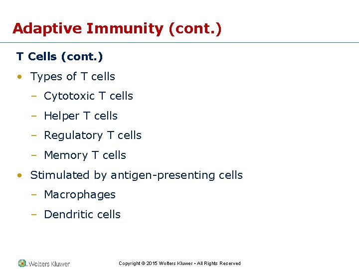 Adaptive Immunity (cont. ) T Cells (cont. ) • Types of T cells –