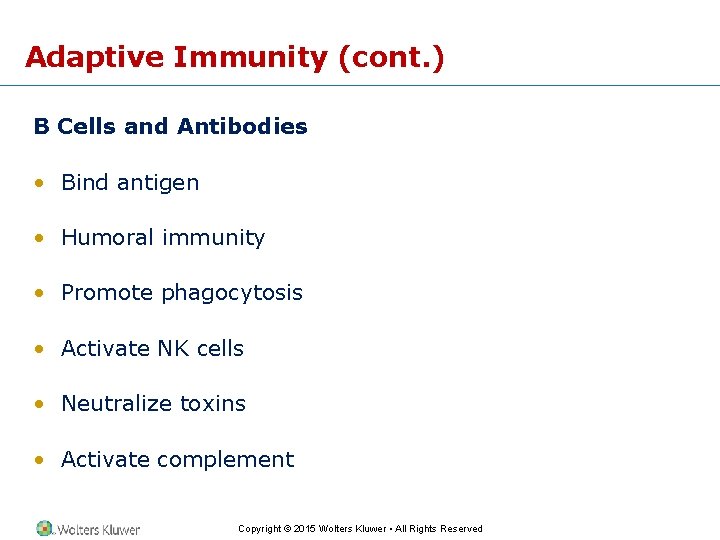 Adaptive Immunity (cont. ) B Cells and Antibodies • Bind antigen • Humoral immunity