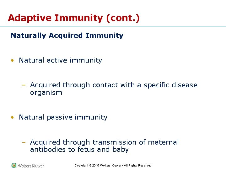 Adaptive Immunity (cont. ) Naturally Acquired Immunity • Natural active immunity – Acquired through