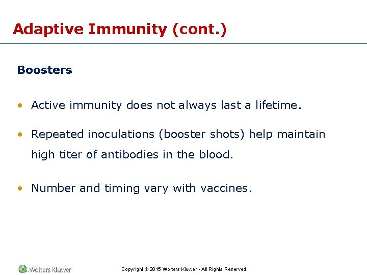 Adaptive Immunity (cont. ) Boosters • Active immunity does not always last a lifetime.