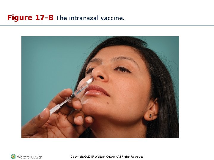 Figure 17 -8 The intranasal vaccine. Copyright © 2015 Wolters Kluwer • All Rights