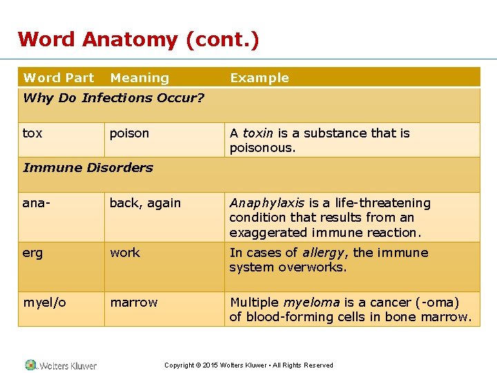Word Anatomy (cont. ) Word Part Meaning Example Why Do Infections Occur? tox poison
