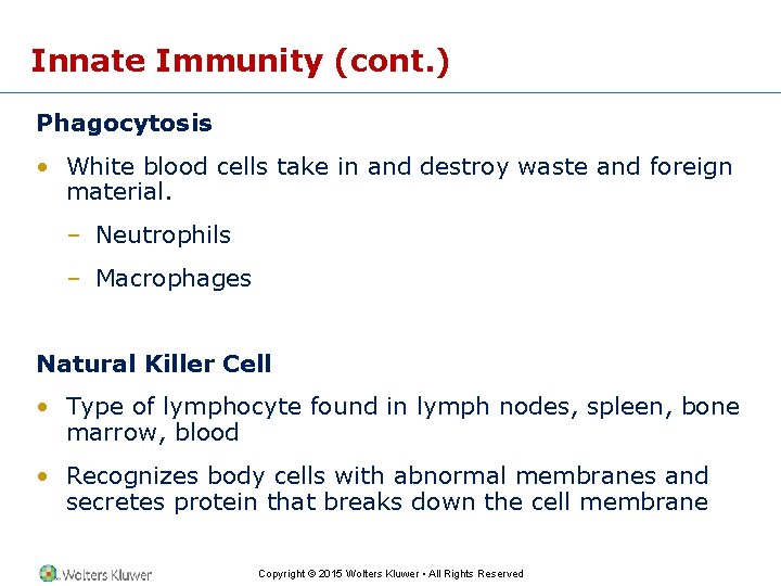 Innate Immunity (cont. ) Phagocytosis • White blood cells take in and destroy waste