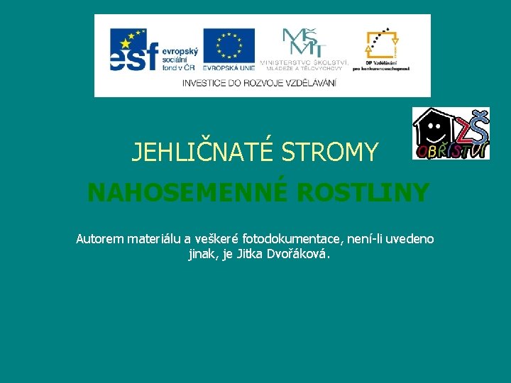 JEHLIČNATÉ STROMY NAHOSEMENNÉ ROSTLINY Autorem materiálu a veškeré fotodokumentace, není-li uvedeno jinak, je Jitka