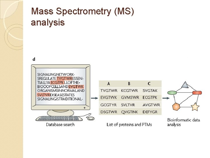 Mass Spectrometry (MS) analysis 