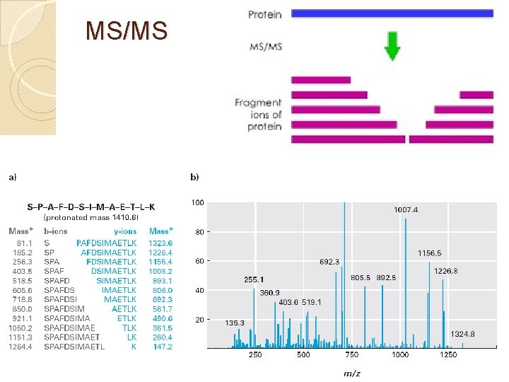 MS/MS 