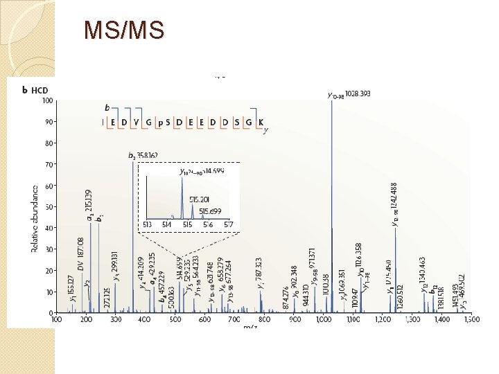 MS/MS 